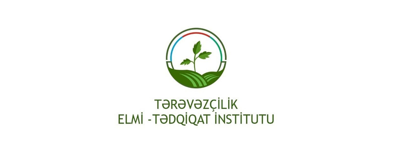 Tərəvəzçilik Elmi Tədqiqat İnstitutu